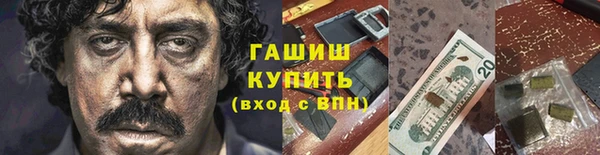 спиды Богородицк