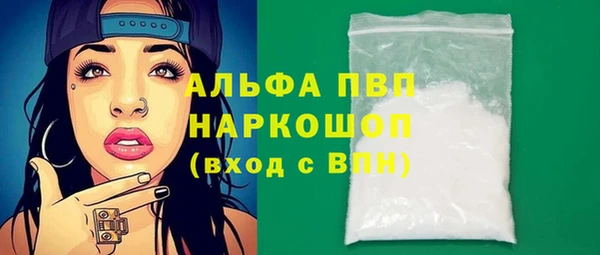 спиды Богородицк