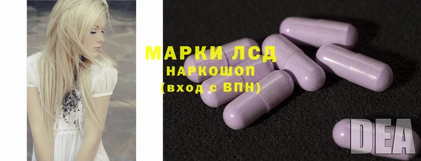 спиды Богородицк