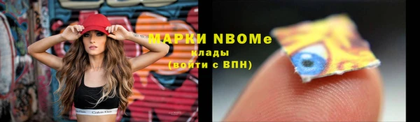 PSILOCYBIN Богородск