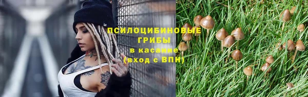 PSILOCYBIN Богородск