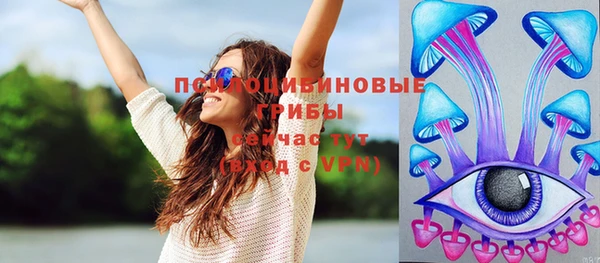 спиды Богородицк