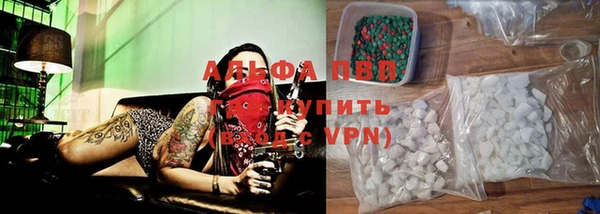 спиды Богородицк