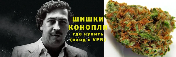 MESCALINE Белокуриха
