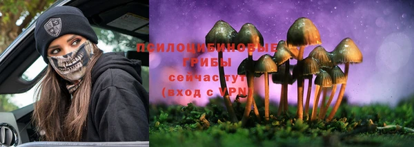 PSILOCYBIN Богородск