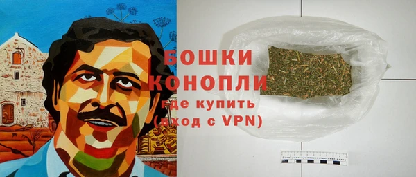 PSILOCYBIN Богородск
