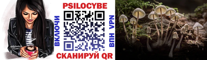 Псилоцибиновые грибы Psilocybine cubensis  купить наркоту  blacksprut маркетплейс  Ильский 